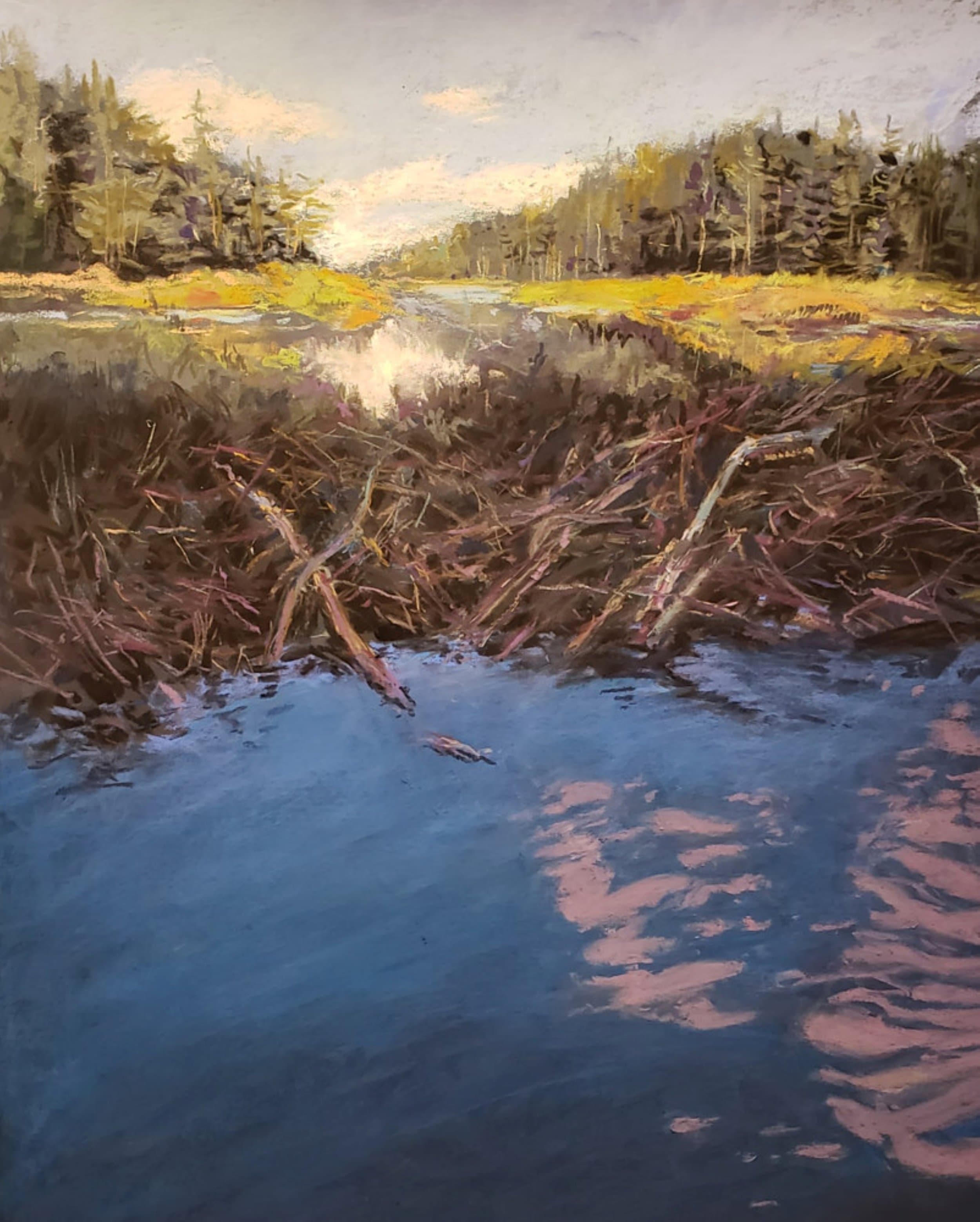 Beaver Dam