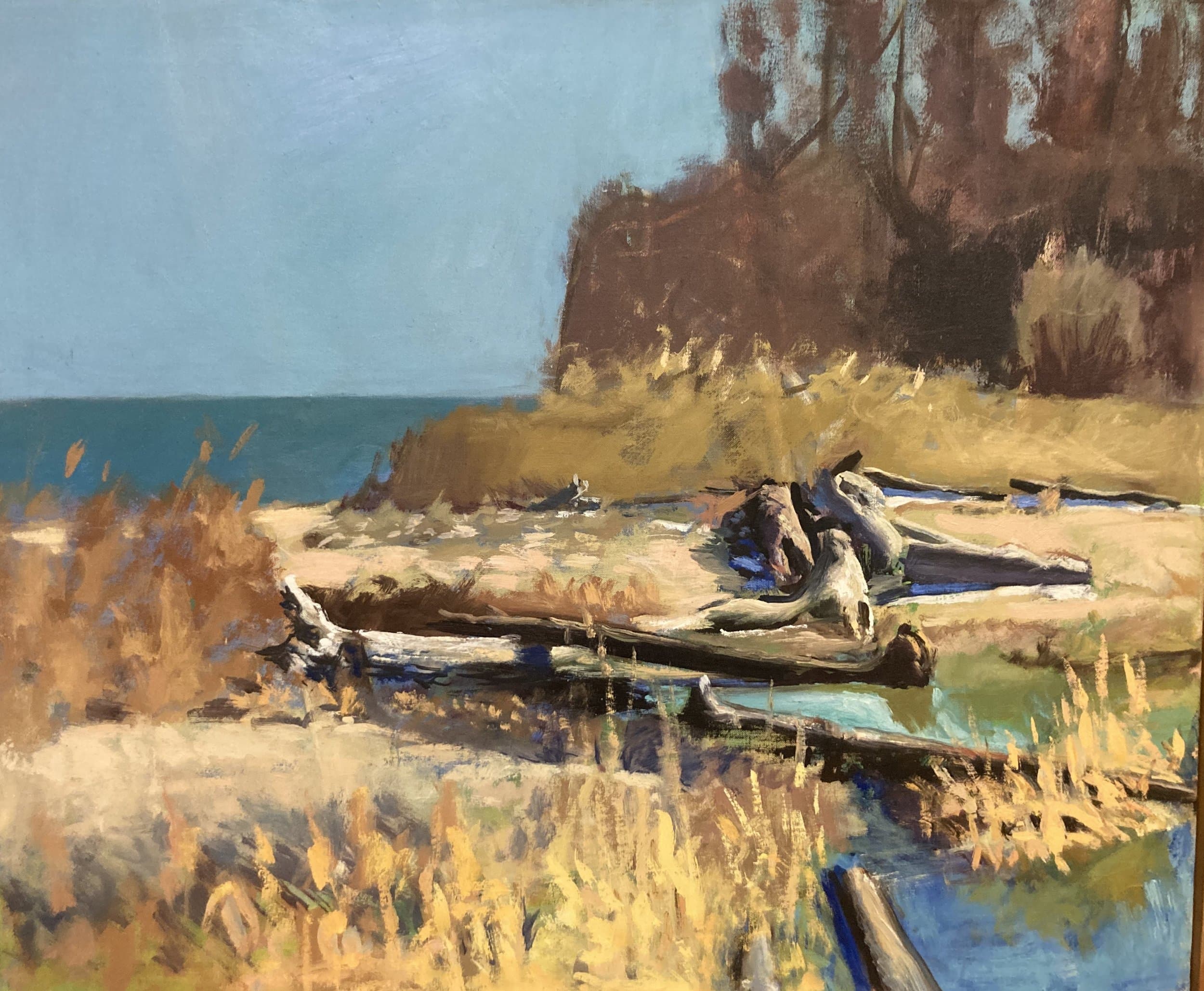 Puddle and Car, Nottingham Farm.jpg