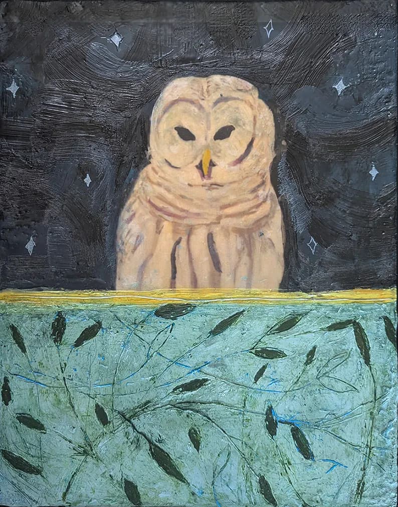 Barred Owl