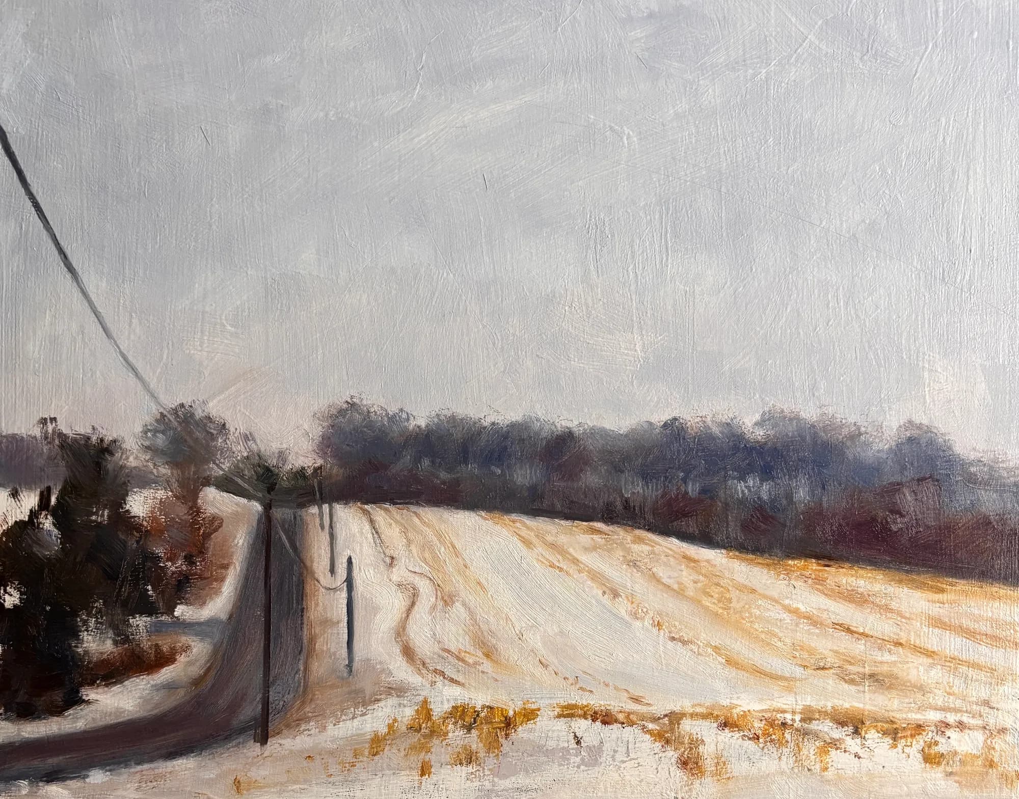Winter Field Close to Home