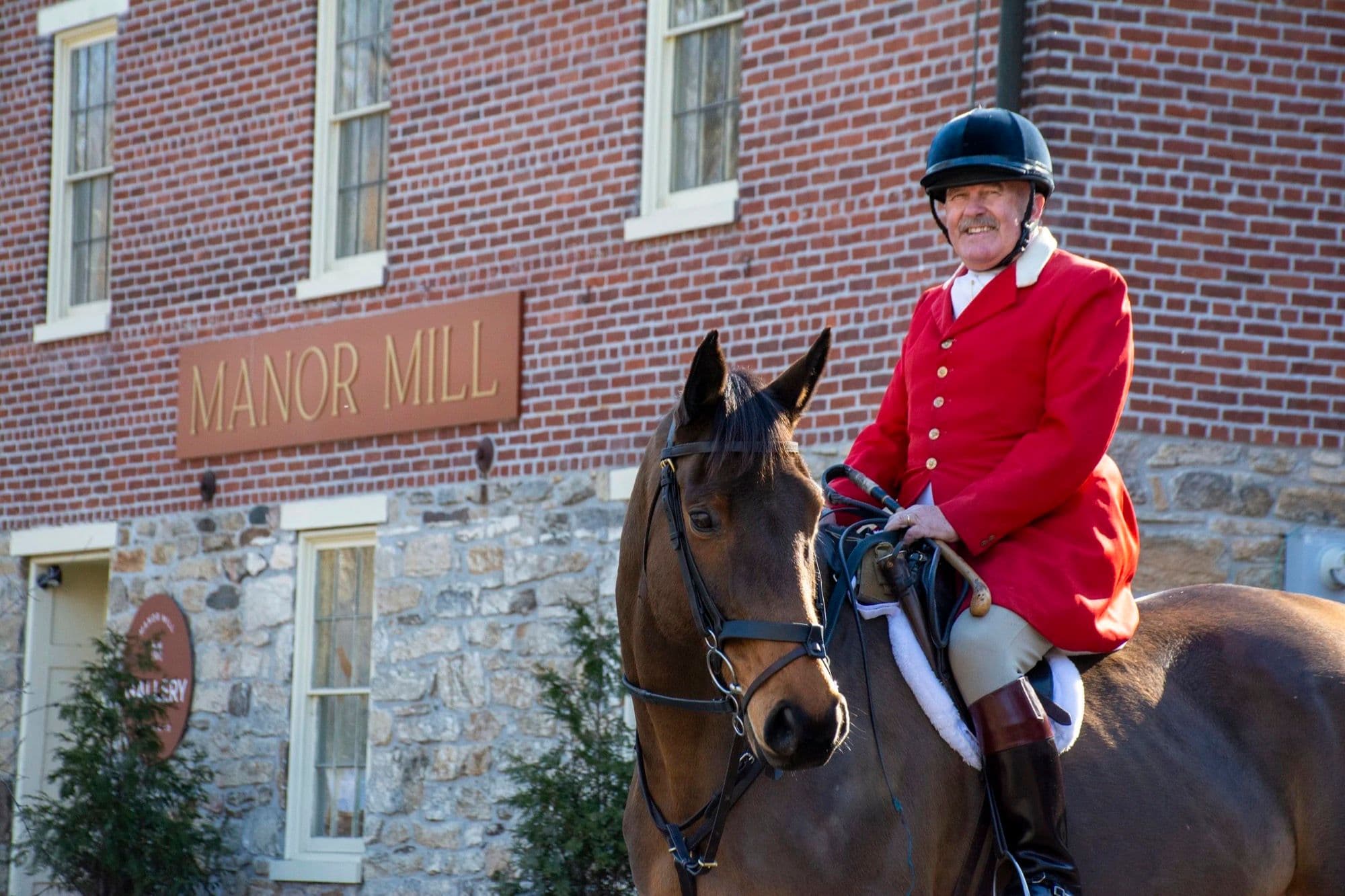 Steeplechase horses
