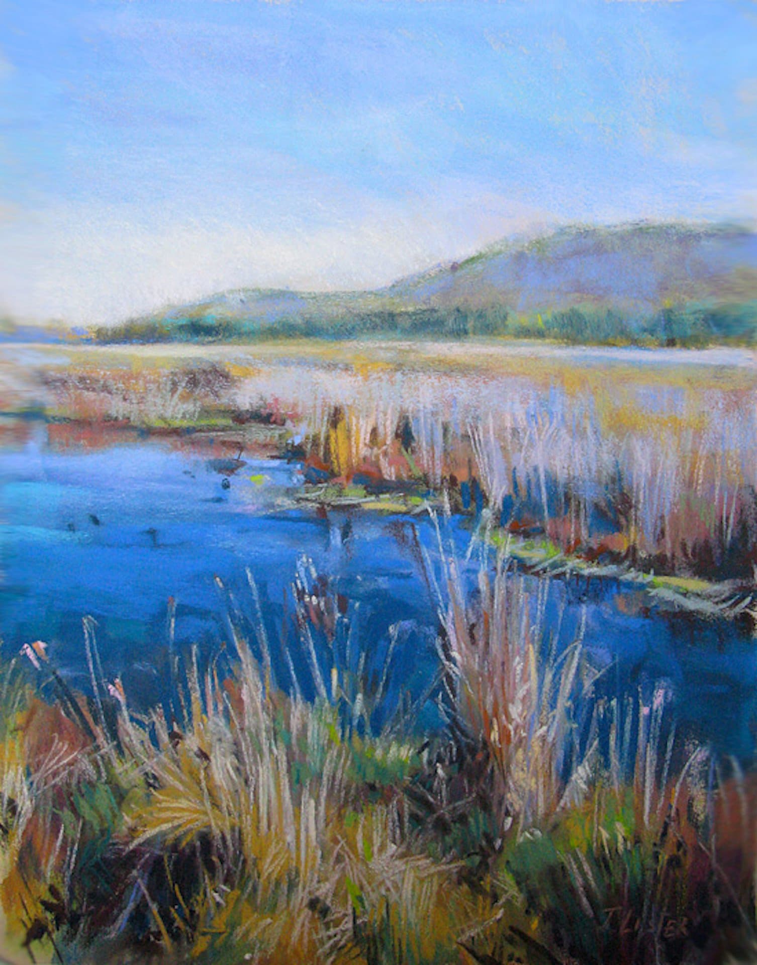 Lister Joyce Athabasca Falls II.jpg