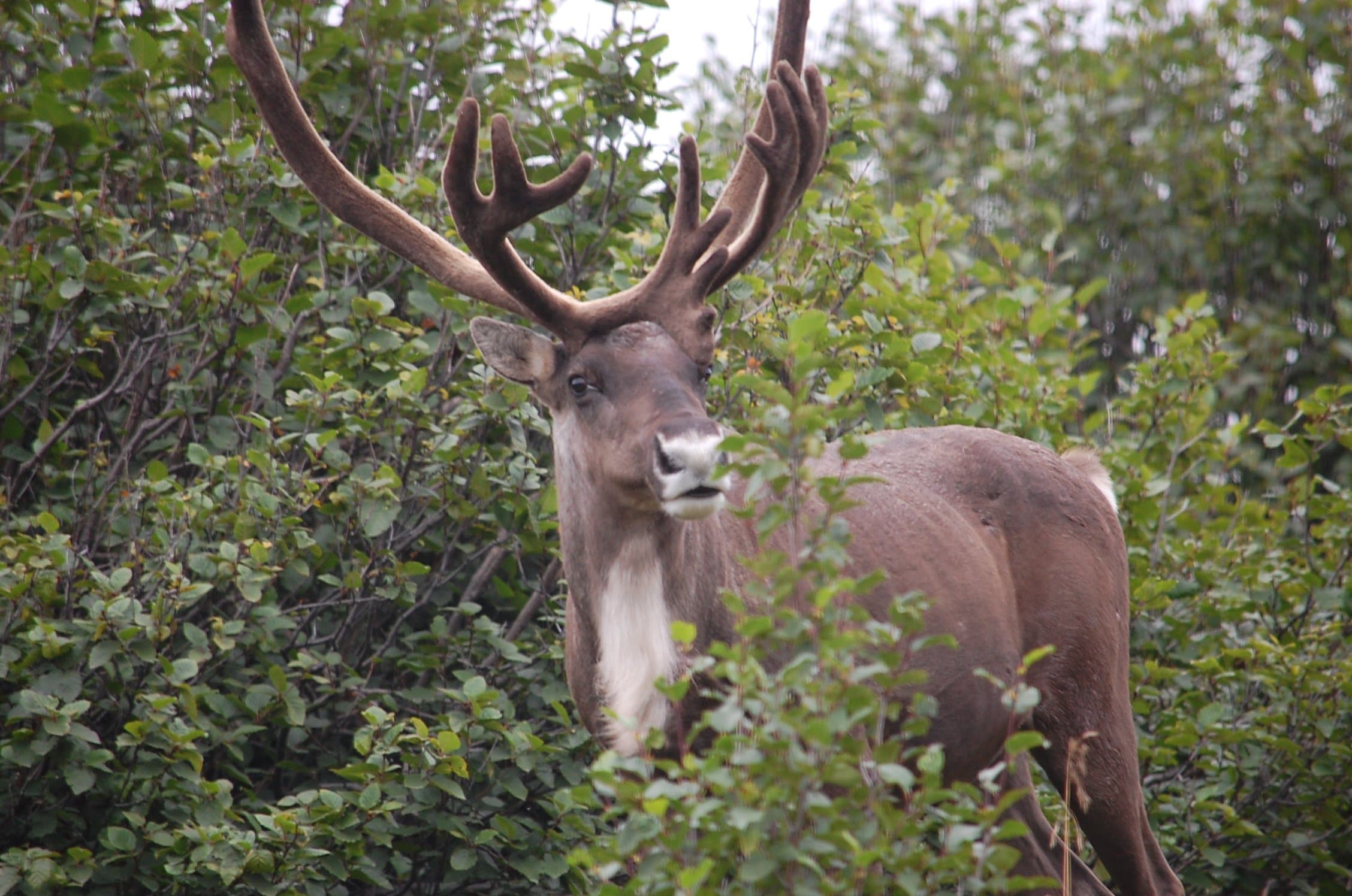 Roberts Matthew Ingress.jpg