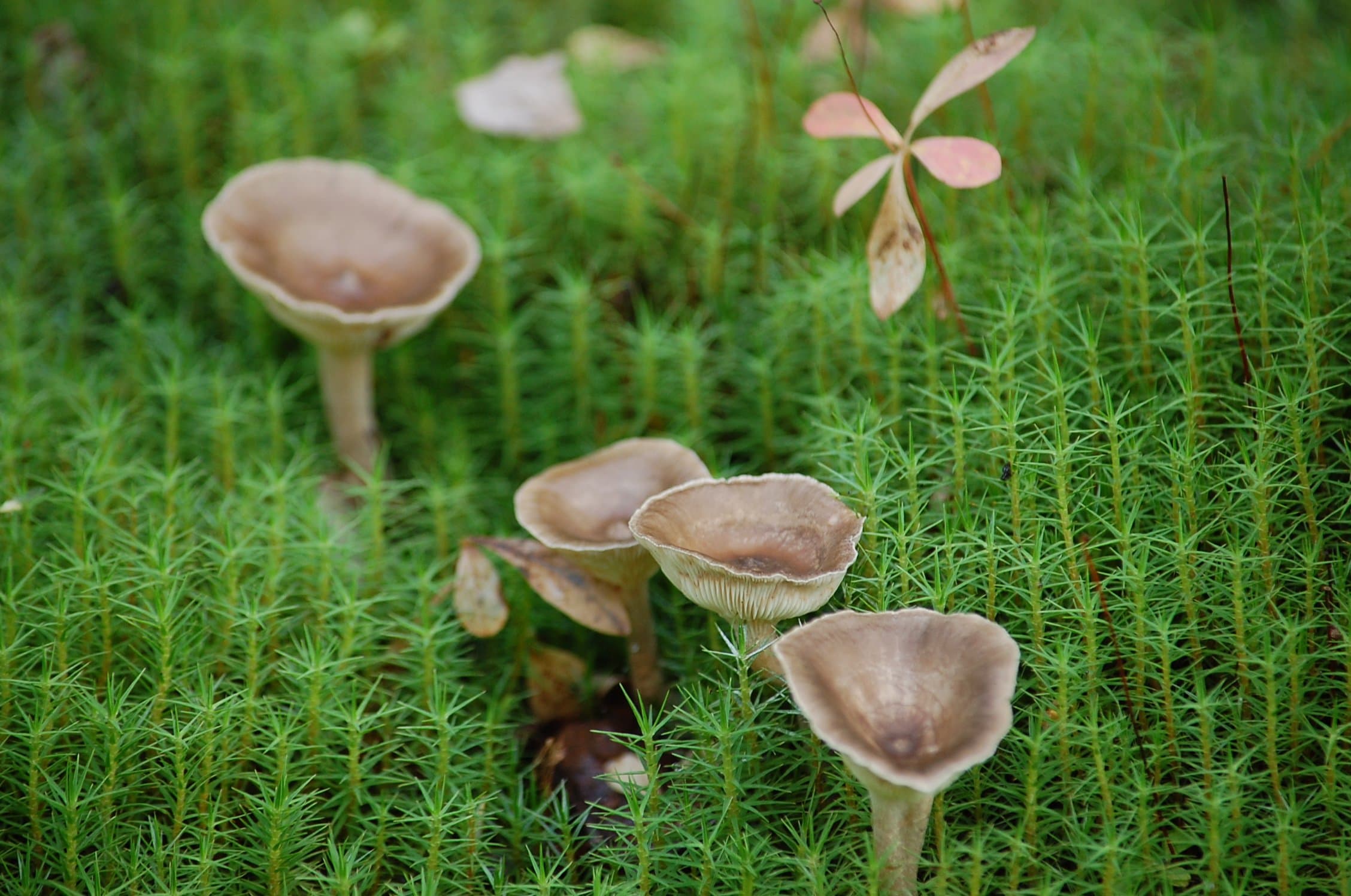 Roberts Matthew Waiting.JPG