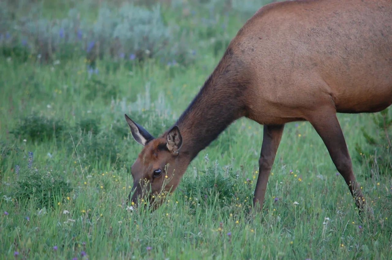 Roberts Matthew What.JPG