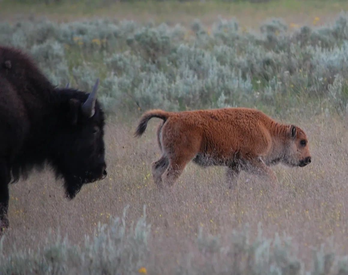 Roberts Matthew Out of Season.JPG