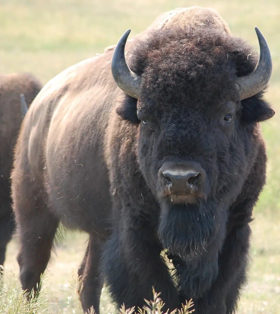 Roberts Matthew Having Fun.jpg