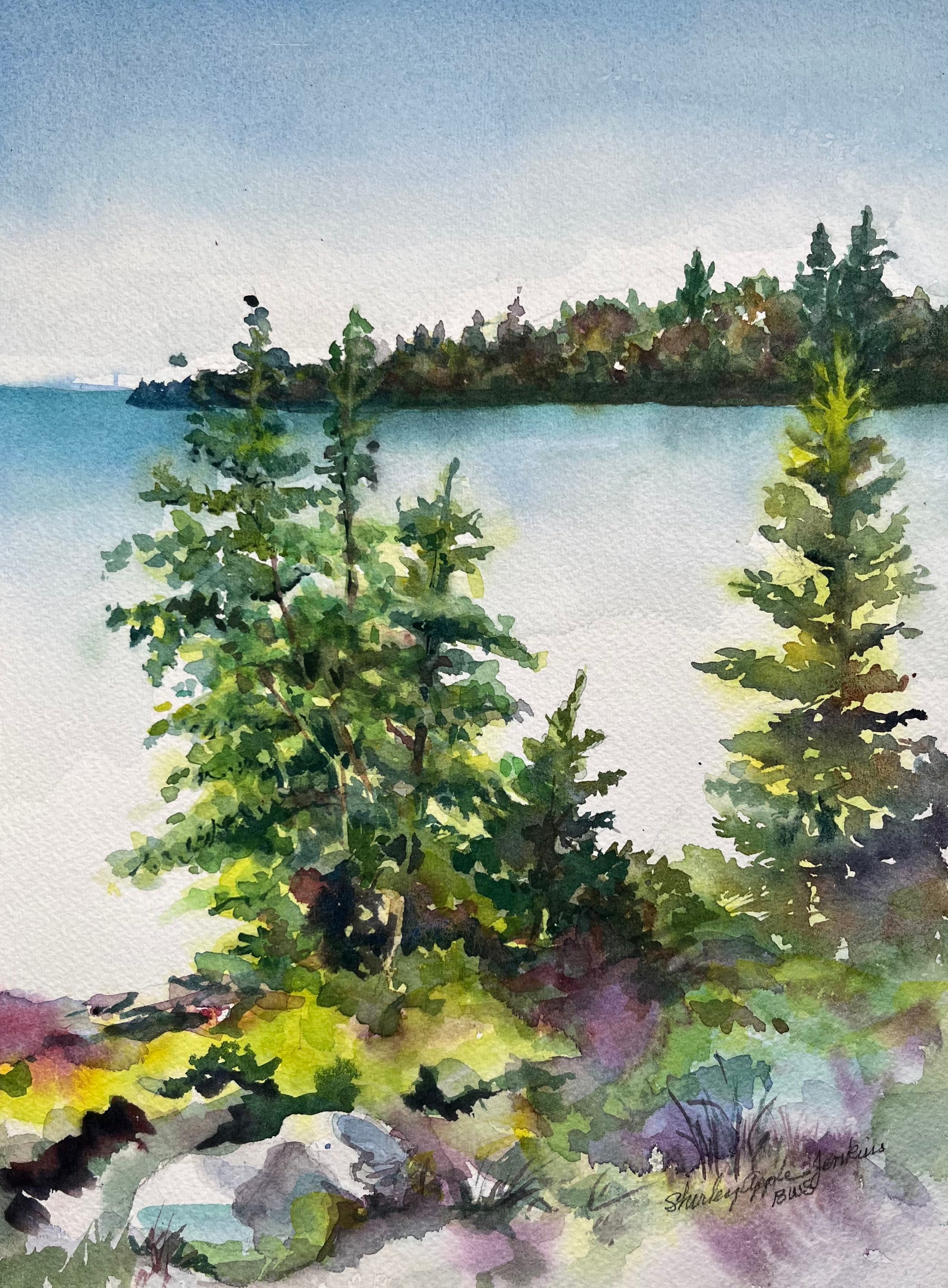 Shirley Jenkins Apples.jpg