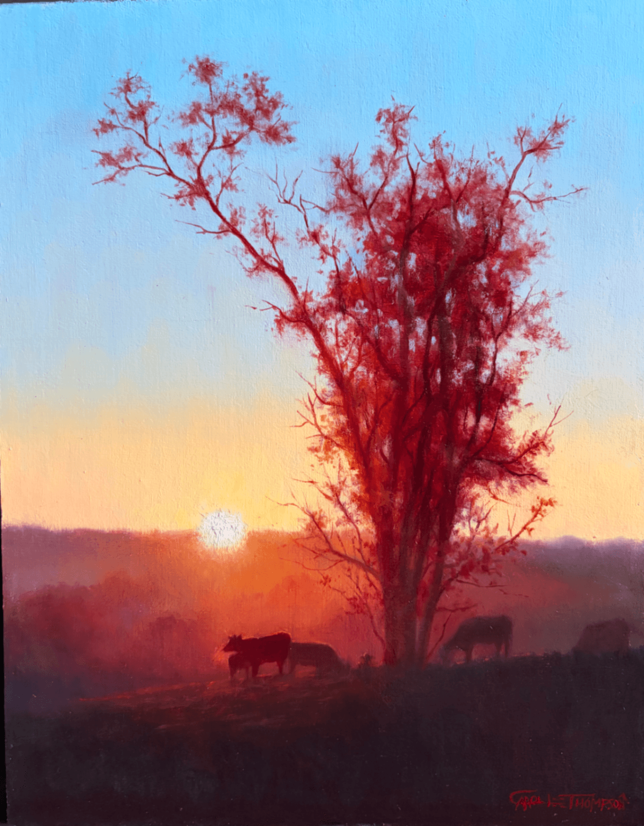 Carroll Farm Sunrise