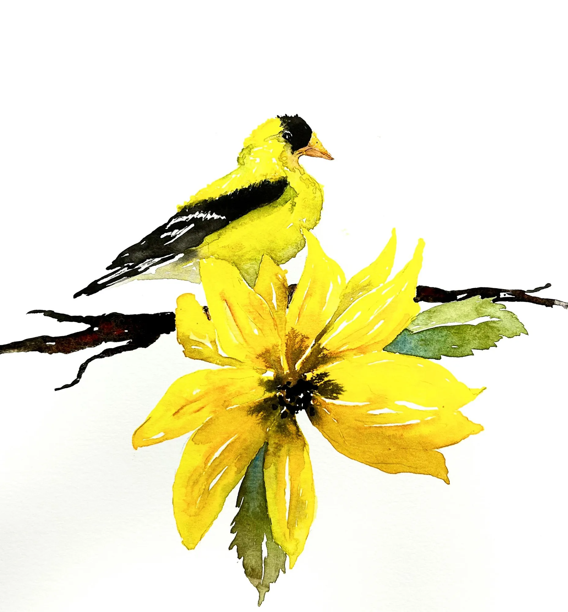 Goldfinch and Sunflower
