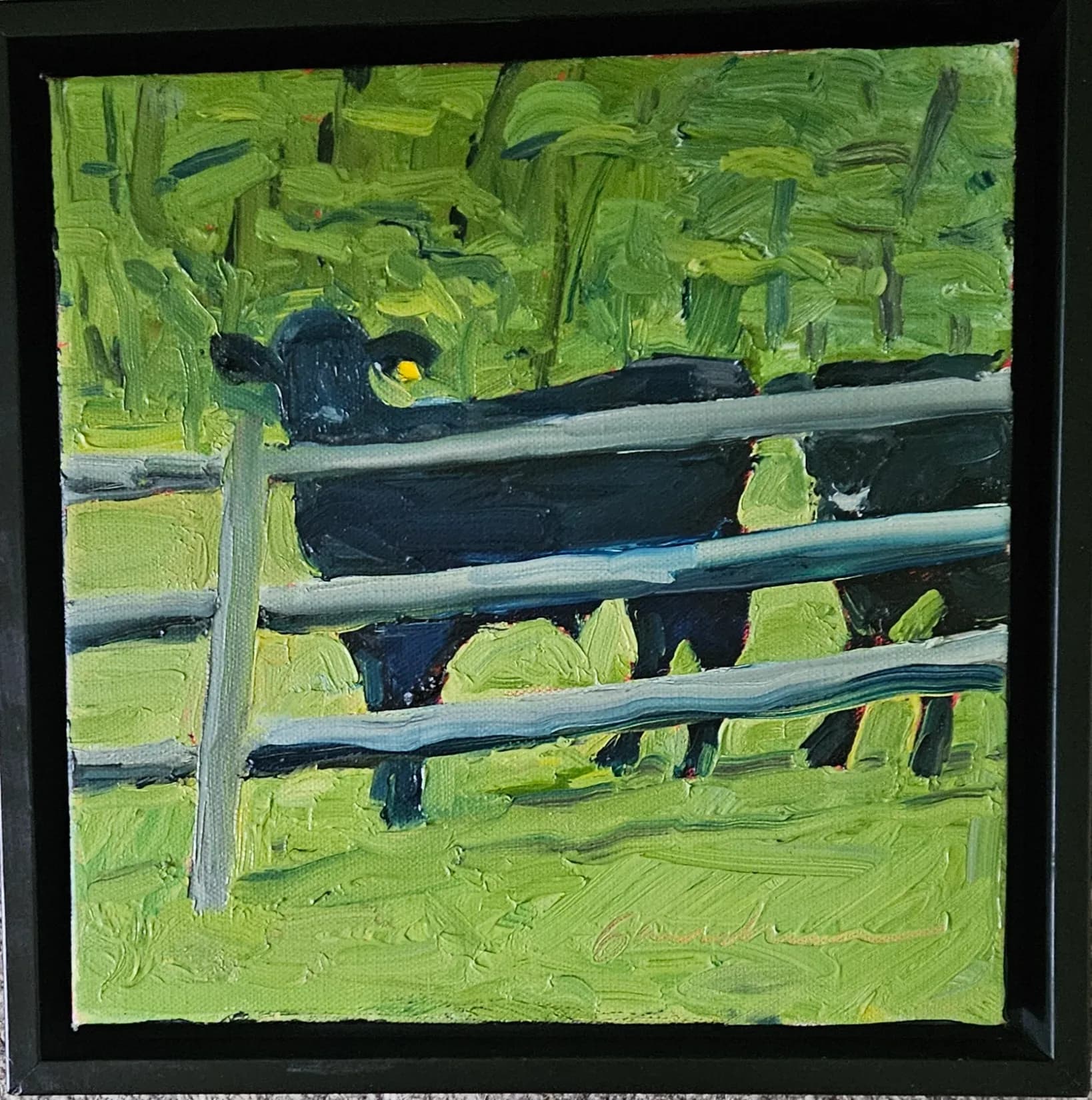 Spring Bull