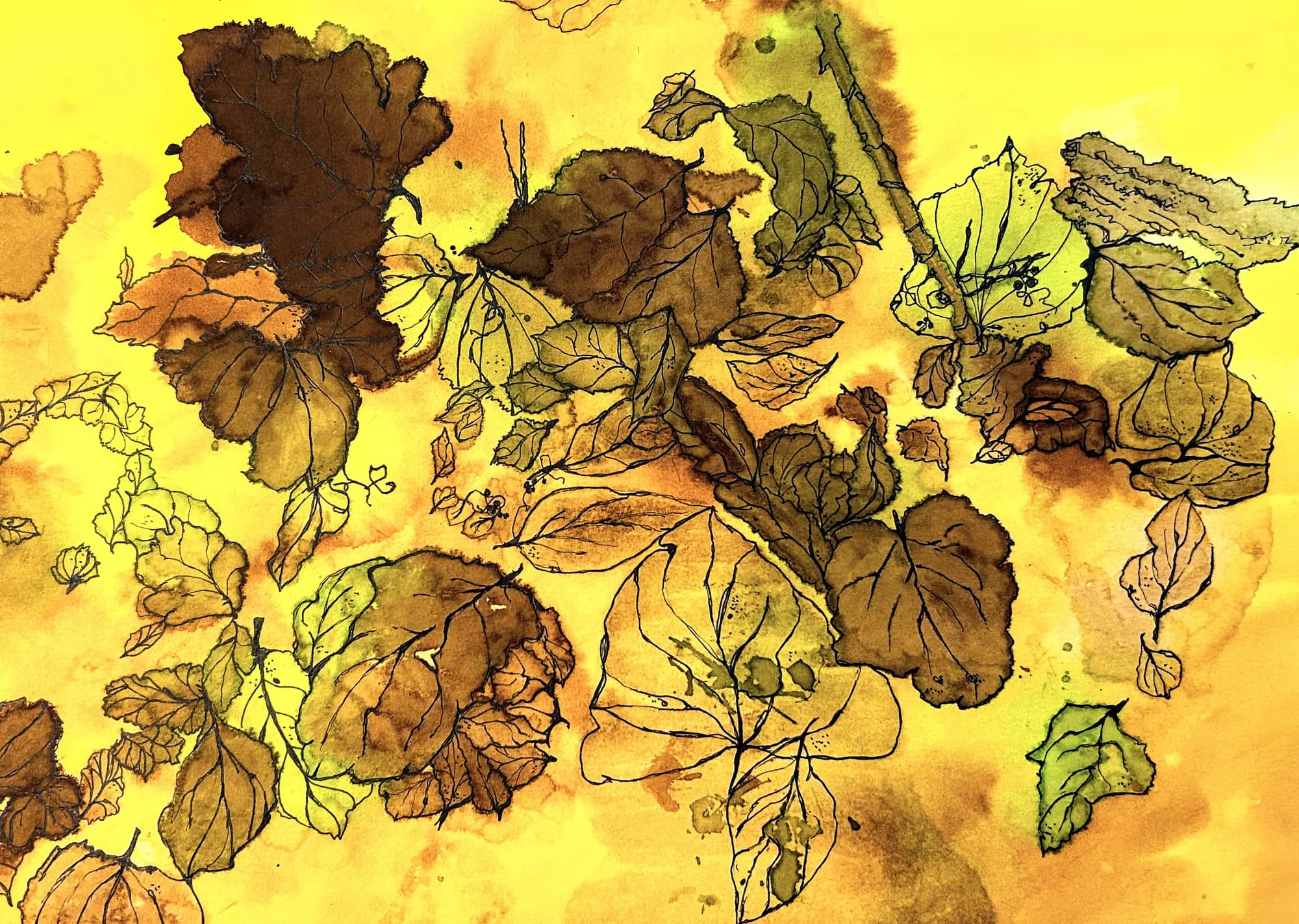 Leaves: From the Ground Up