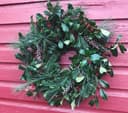 Evergreen wreaths with Spore and Seed