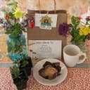 Mother's Day Tea Garden with Spore and Seed