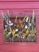Dried flower panels with Spore and Seed