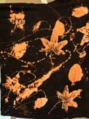 Nature Walk & Bleach Dye Tees with Boring Tie Dye