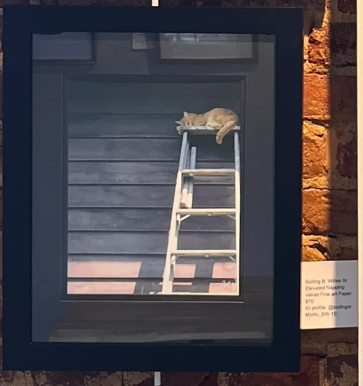Elevated Napping by Bo Willse Sr.
