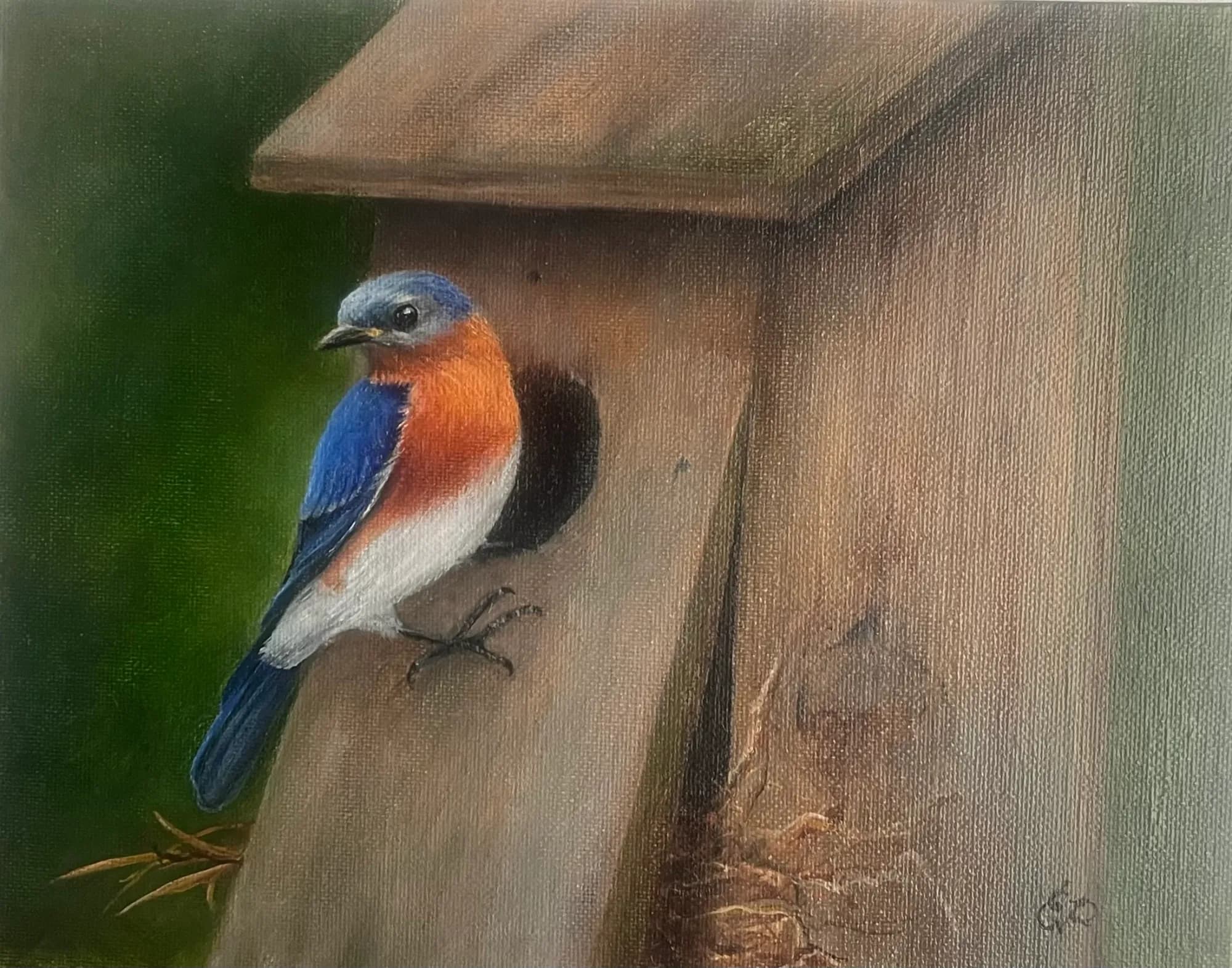 Bluebird's Haven