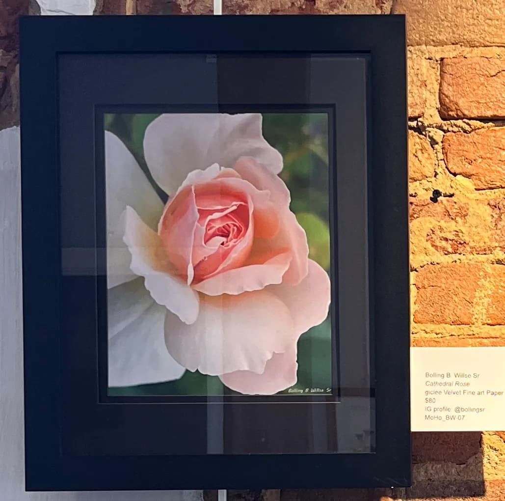 Cathedral Rose by Bo Willse Sr.