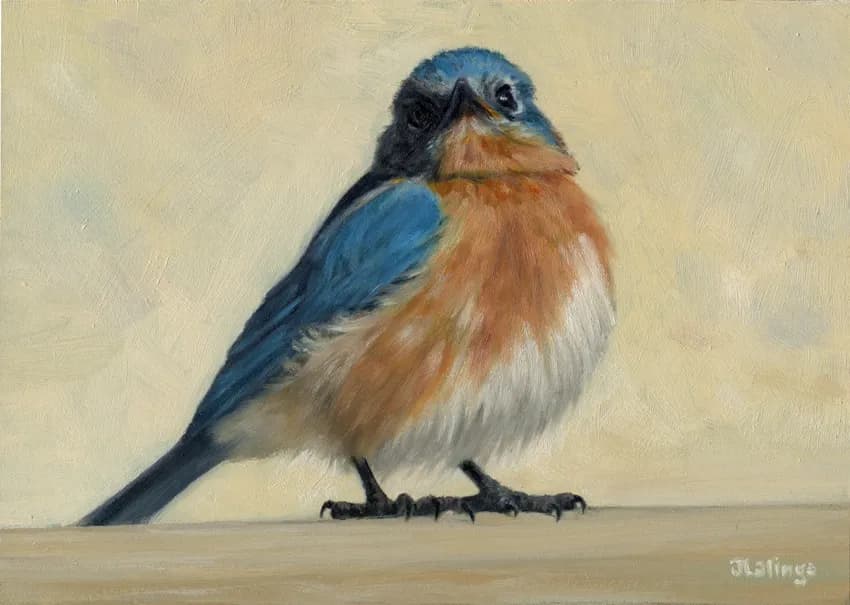 Bluebird by Judy Lalingo