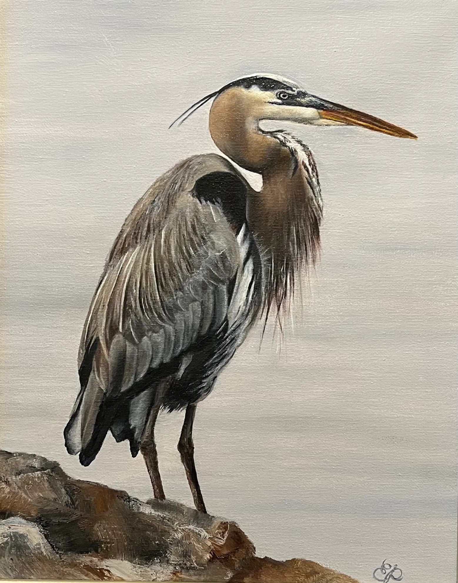 Heron at Rest by Evelynn Pierro