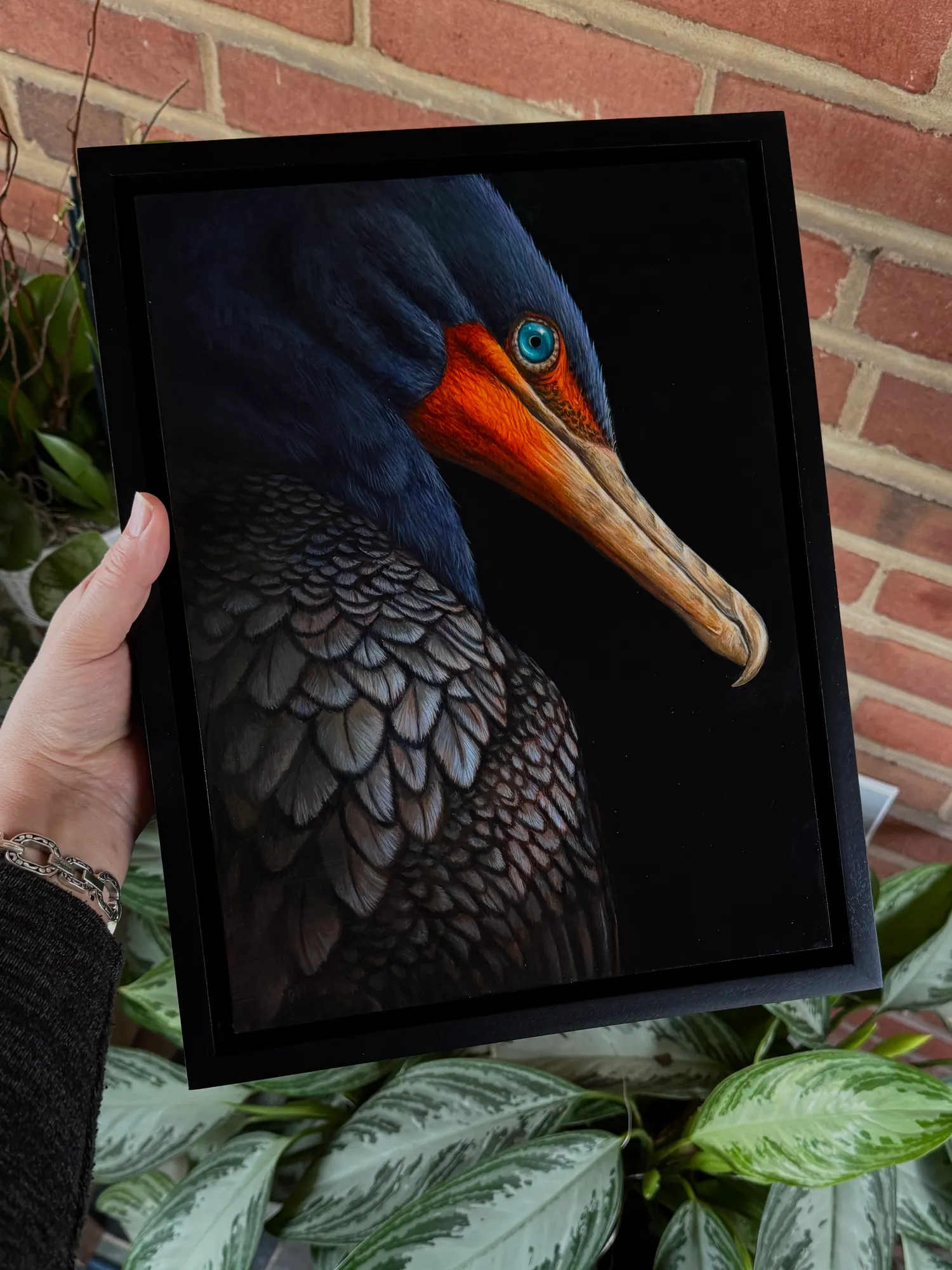 Seen (Cormorant) by Dana Mueller