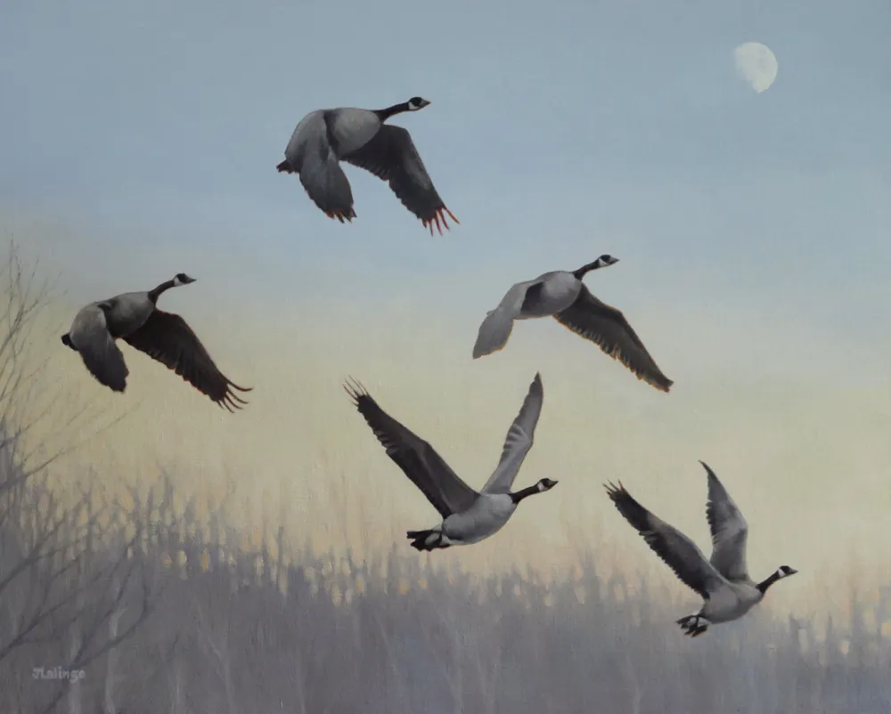 Wild Geese Rising by Judy Lalingo