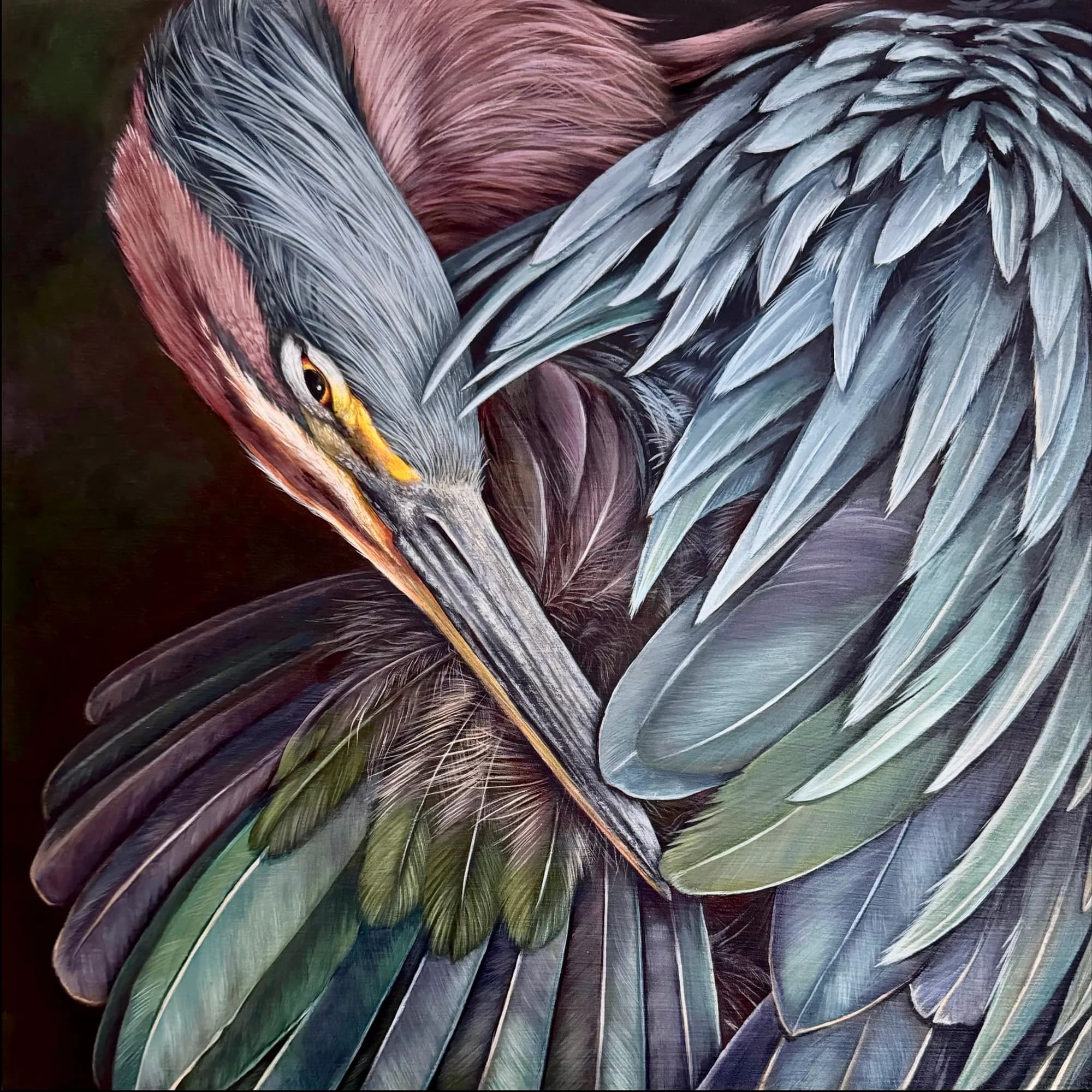 The Gaze Returned (Green Heron) by Dana Mueller