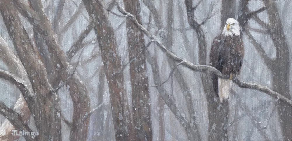 Winter Woods by Judy Lalingo