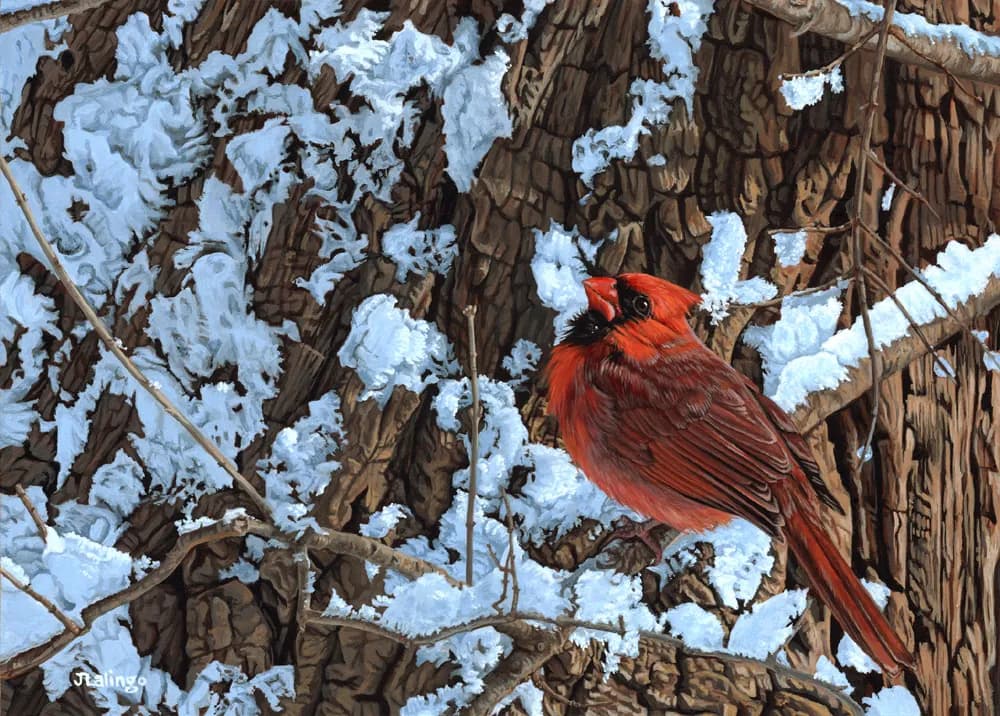 Cardinal Memory by Judy Lalingo