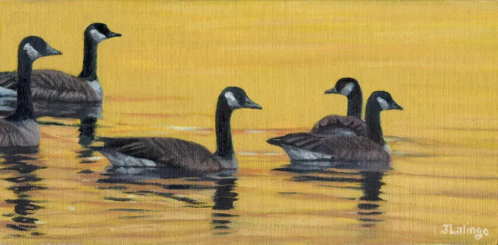 Canada Cruise by Judy Lalingo
