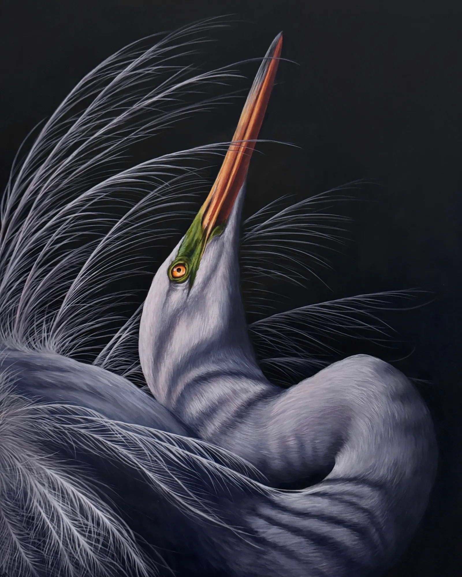 Return (Egret) by Dana Mueller